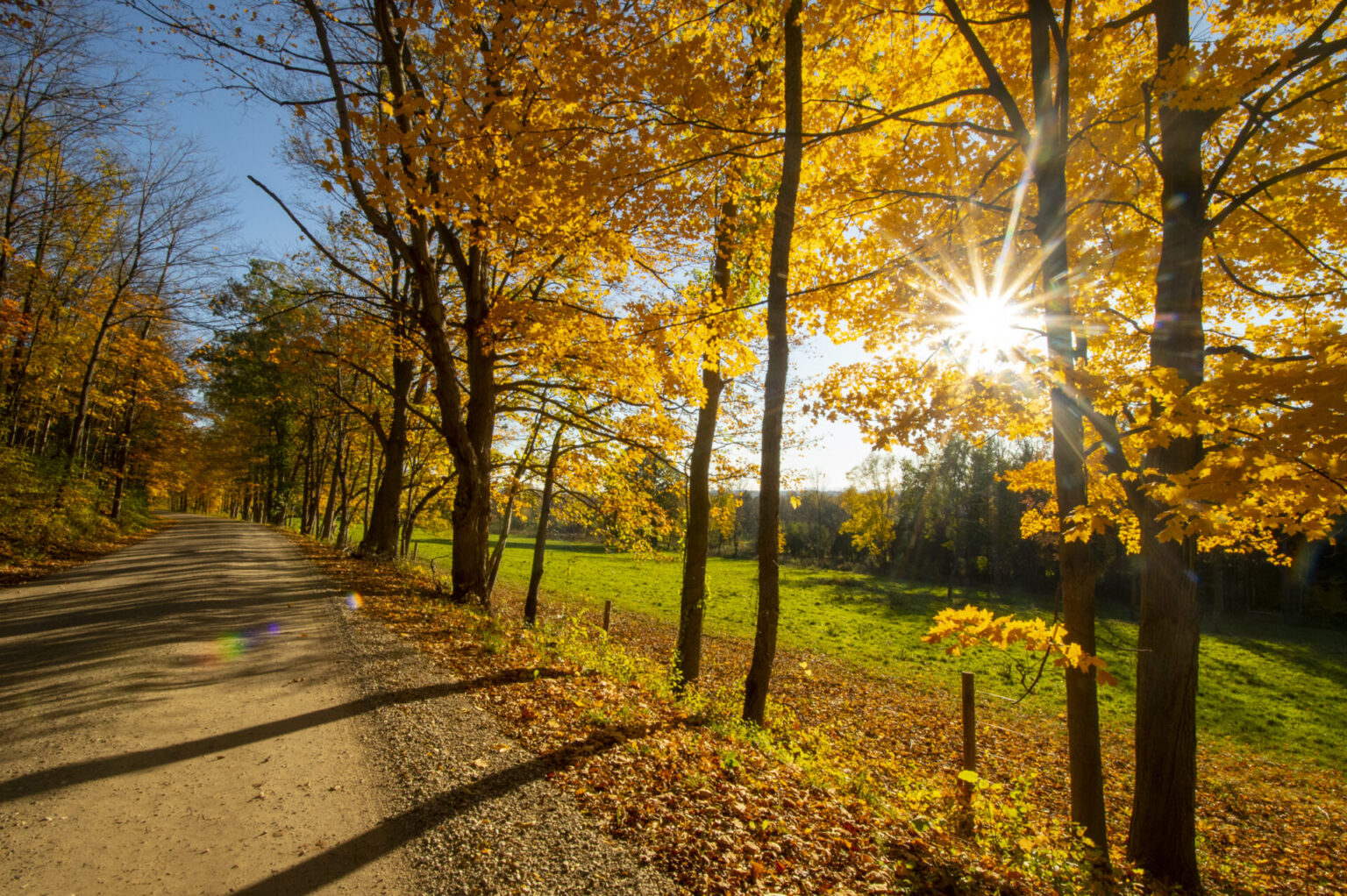 Fall Road, Cornwall, Vermont