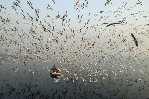 Yamuna River, New Delhi, India. 2006