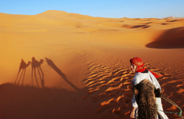 Morocco Cameltrek