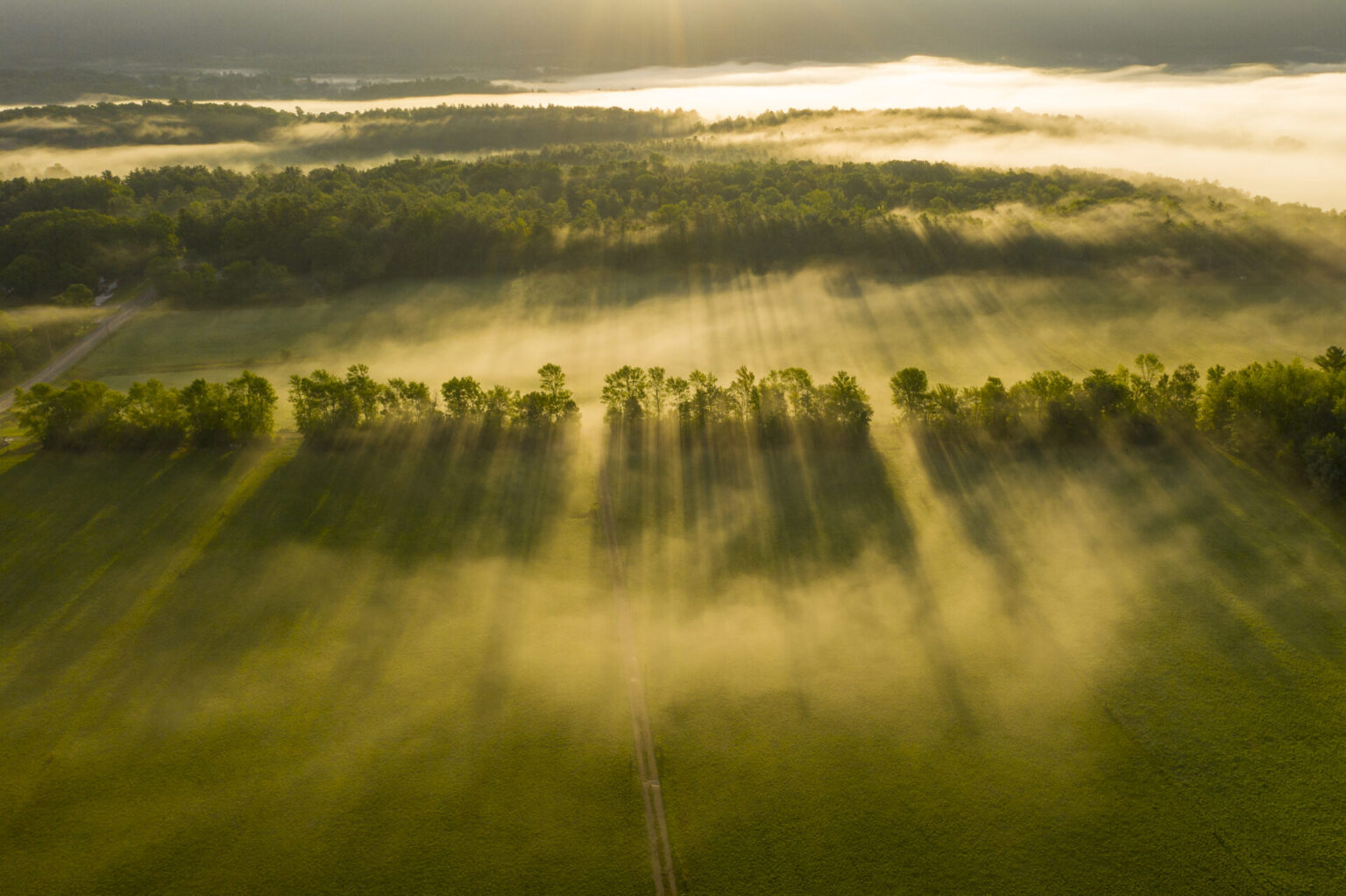 September Fog, Middlebury, Vermont