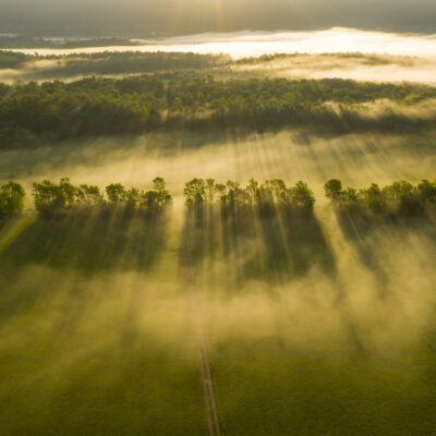 September Fog, Middlebury, Vermont