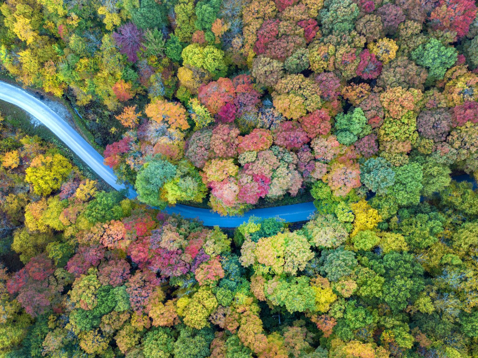 Lincoln Gap Fall, Lincoln, Vermont